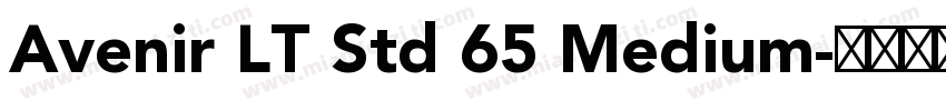Avenir LT Std 65 Medium字体转换